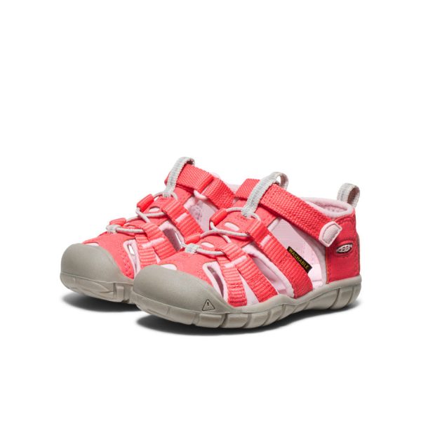 Toddlers' Seacamp II CNX | Dubarry/Giggle Pink