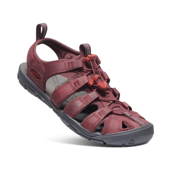 Women's Clearwater Leather CNX  |  Wine/Red Dahlia