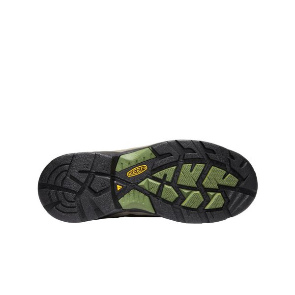 Men's Detroit XT Waterproof Boot (Steel Toe)  |  Cascade Brown/Bronze Green