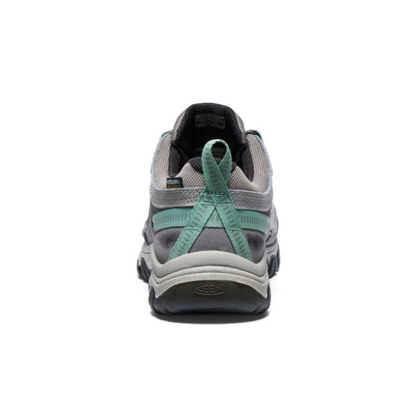 Women's Targhee IV Waterproof Hiking Shoe | Alloy/Granite Green