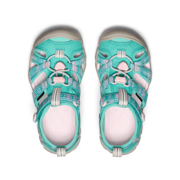 Little Kids' Seacamp II CNX  |  Bright Aqua/Giggle Pink
