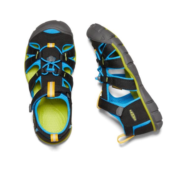 Big Kids' Seacamp II CNX | Black/Brilliant Blue