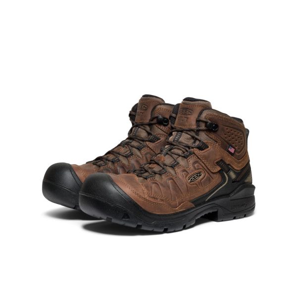 Men's Targhee IV Waterproof Work Boot (Carbon Toe) | Dark Earth/Black