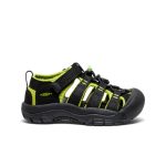 Little Kids' Newport H2 | Black/Lime Green