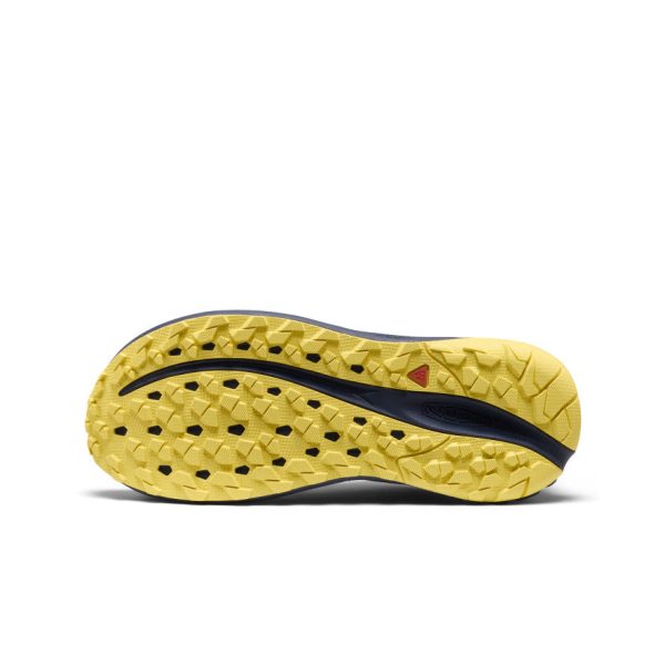Women's Roam Waterproof Trail Running Shoe  |  Faded Denim/Lemon Grass