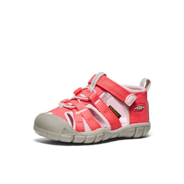 Toddlers' Seacamp II CNX | Dubarry/Giggle Pink