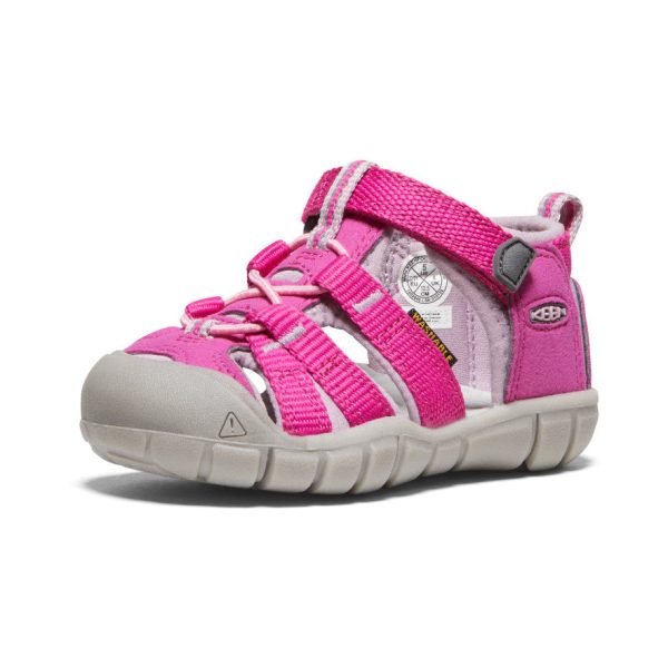Toddlers' Seacamp II CNX | Very Berry/Dawn Pink