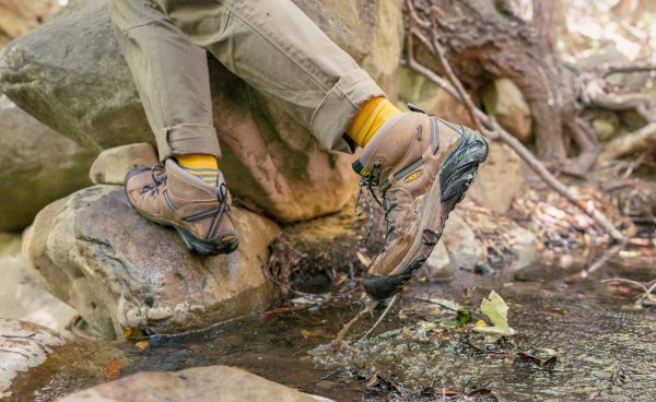 Men's Targhee II Mid Waterproof Hiking Boots | Black Olive/Chipmunk