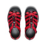 Big Kids' Newport H2 | Ribbon Red/Gargoyle
