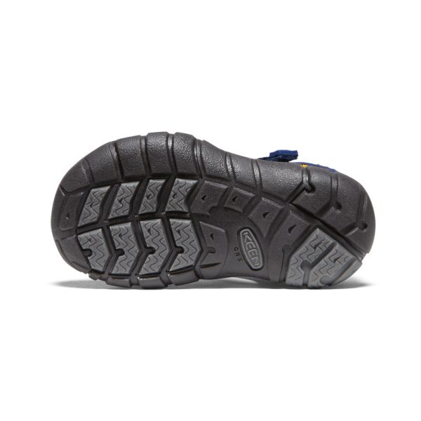 Toddlers' Seacamp II CNX | Blue Depths/Gargoyle