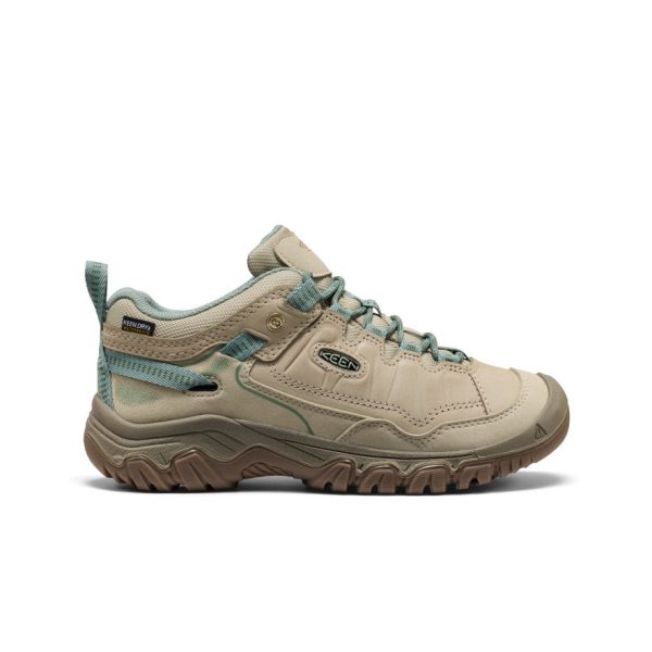 Women's Targhee IV Waterproof Hiking Shoe | Abbey Stone/Lily Pad