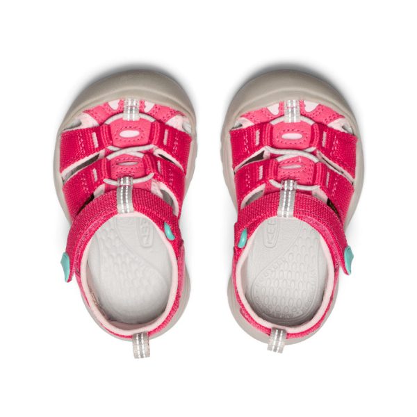 Toddlers' Newport H2  |  Raspberry/Giggle Pink
