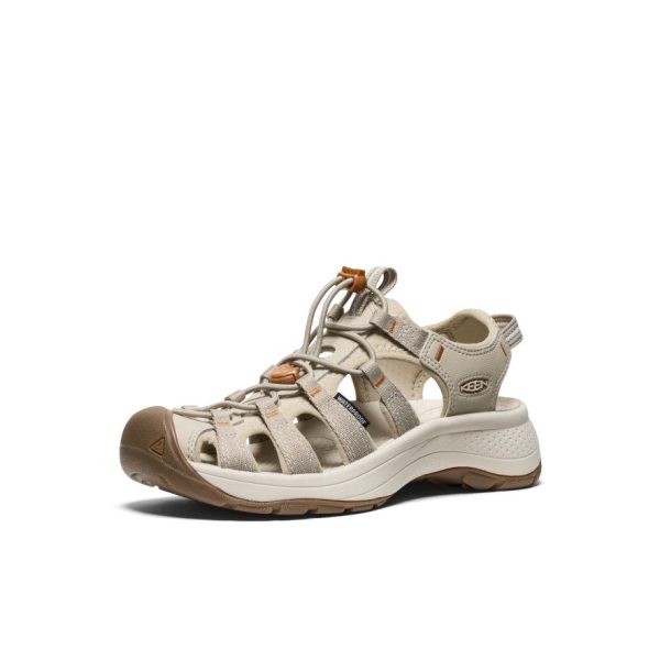 Women's Astoria West Sandal  |  Plaza Taupe/Roasted Pecan