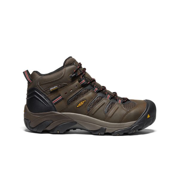 Men's Lansing Mid Waterproof (Steel Toe) | Cascade Brown/Brindle